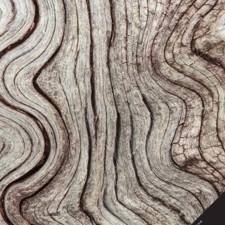 Catalog Bolefloor 2019