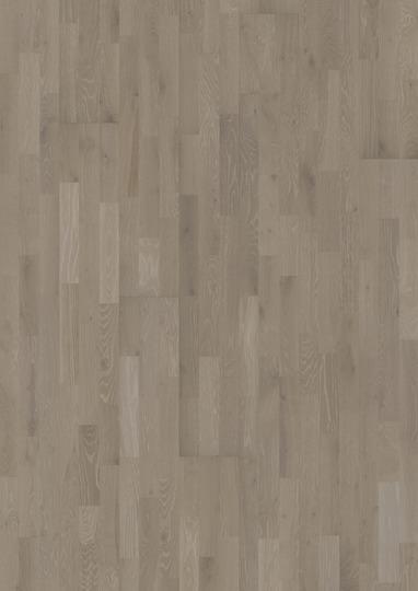 Stejar Dacite Grey 3S