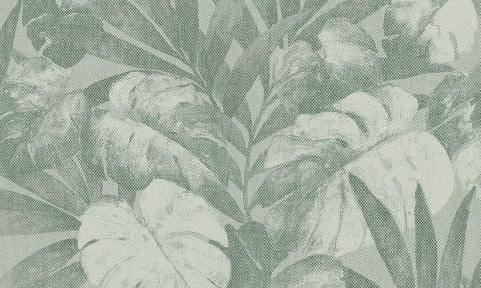 ARTE INTERNATIONAL-Flamant Les Mémoires-Expédition-80080