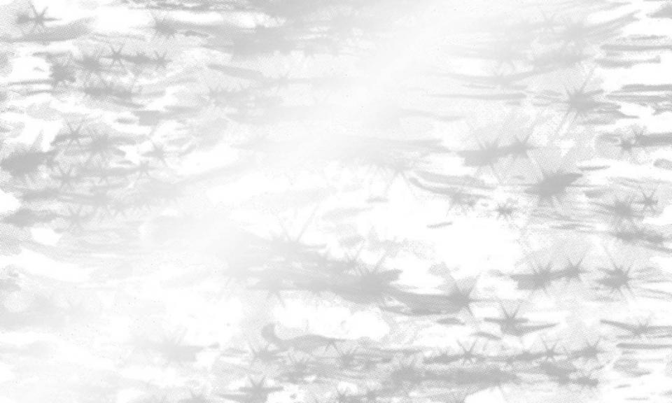 ARTE INTERNATIONAL-Favour Paper-Starglint-FP1022