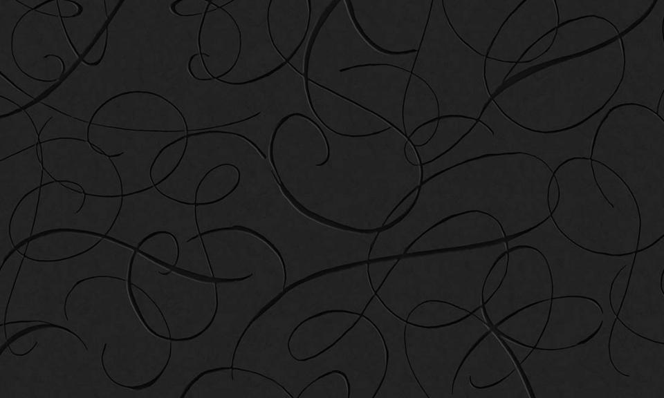 ARTE INTERNATIONAL-Moooi Wallcovering The Extinct Animals Collection-Calligraphy Bird-MO2011