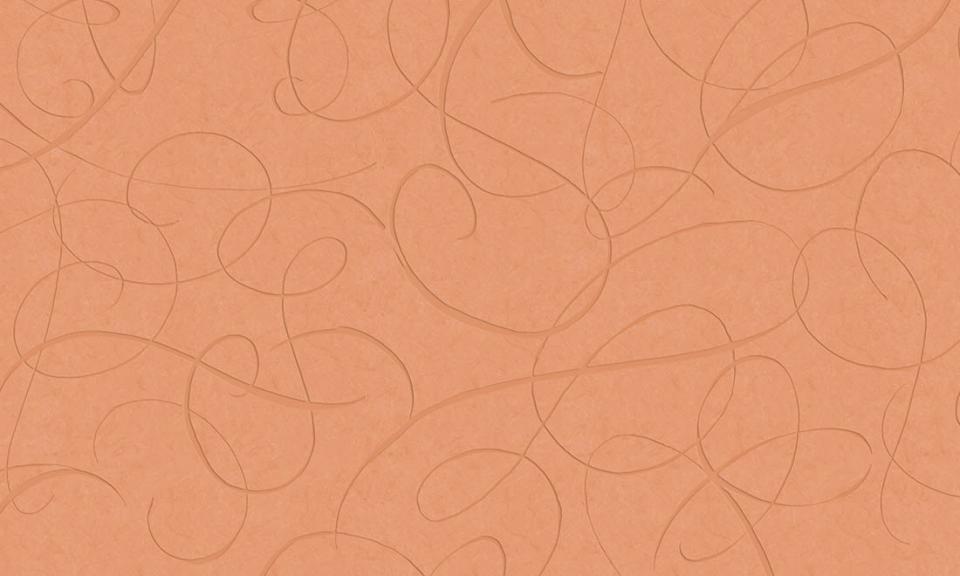 ARTE INTERNATIONAL-Moooi Wallcovering The Extinct Animals Collection-Calligraphy Bird-MO2013