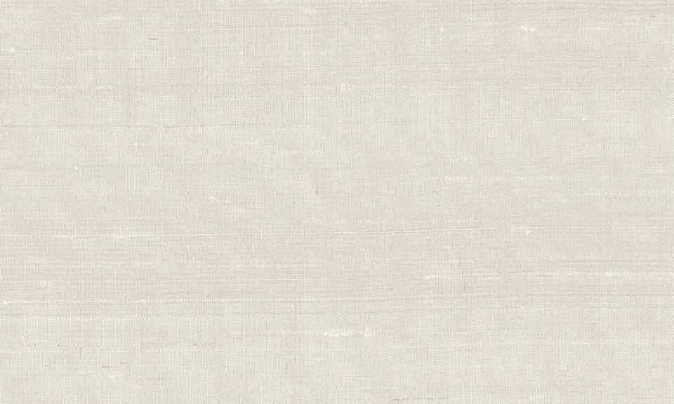 ARTE INTERNATIONAL-Paleo-Latus-50501