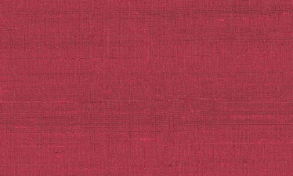 ARTE INTERNATIONAL-Paleo-Latus-50502