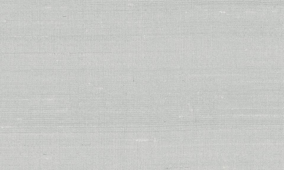 ARTE INTERNATIONAL-Paleo-Latus-50505