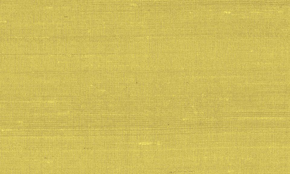 ARTE INTERNATIONAL-Paleo-Latus-50507