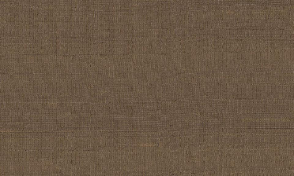 ARTE INTERNATIONAL-Paleo-Latus-50508