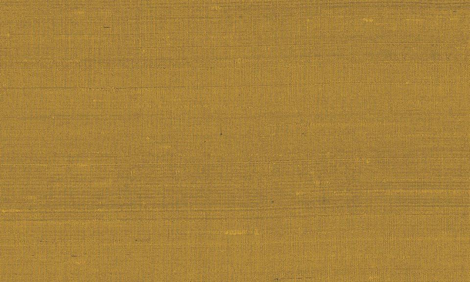 ARTE INTERNATIONAL-Paleo-Latus-50509