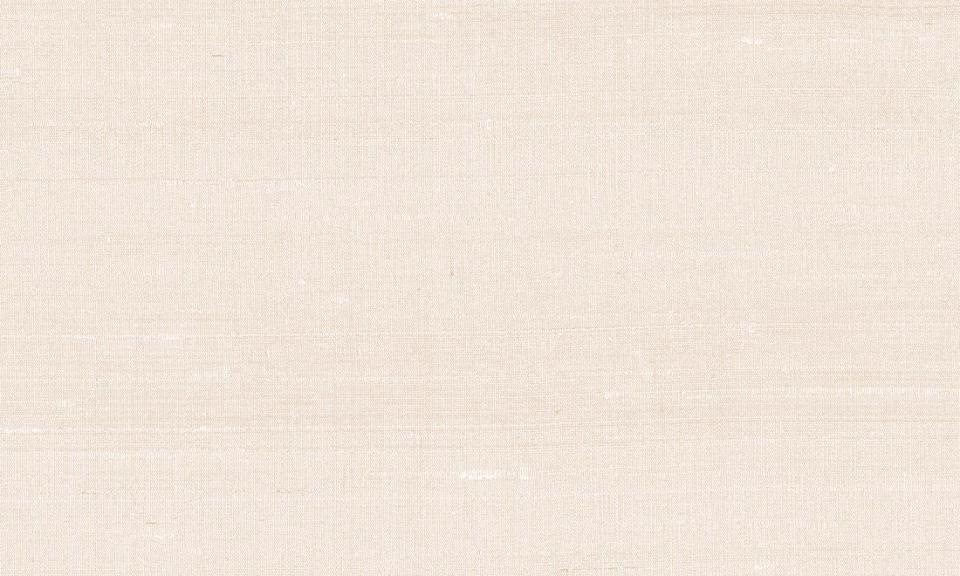 ARTE INTERNATIONAL-Paleo-Latus-50513