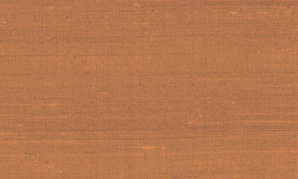 ARTE INTERNATIONAL-Paleo-Latus-50514