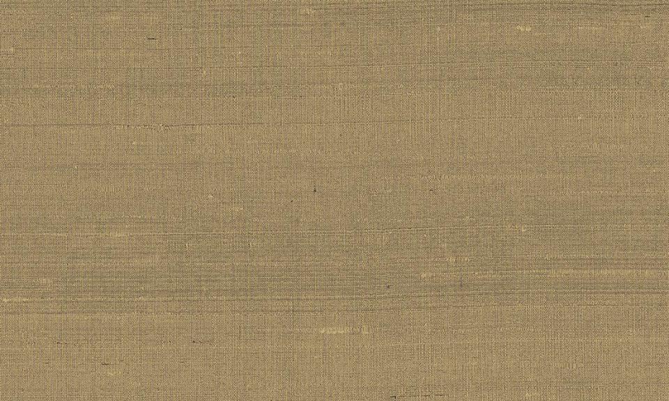 ARTE INTERNATIONAL-Paleo-Latus-50515