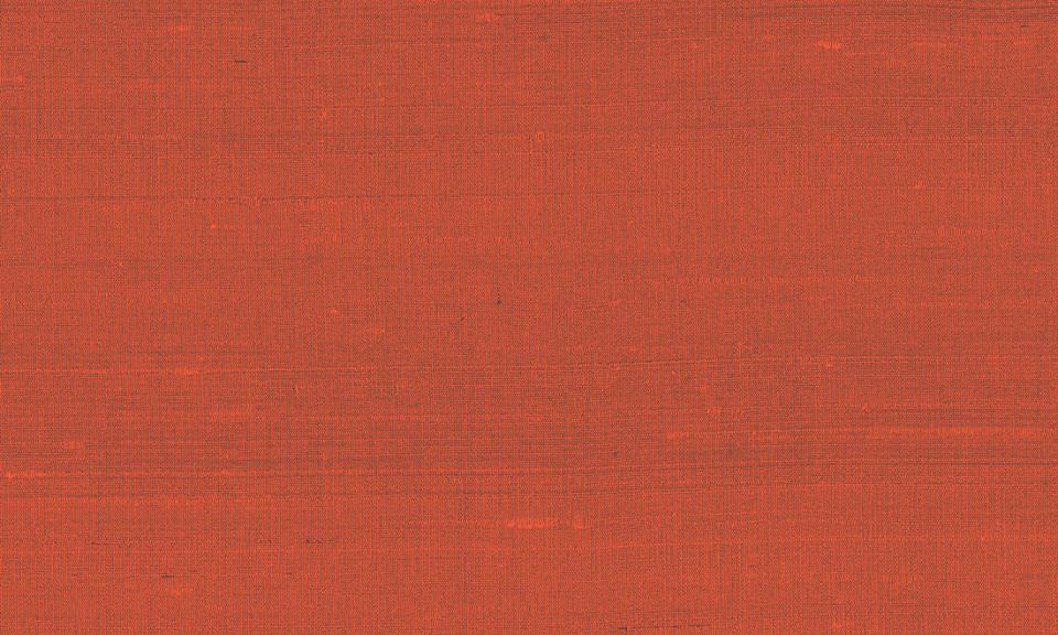 ARTE INTERNATIONAL-Paleo-Latus-50517