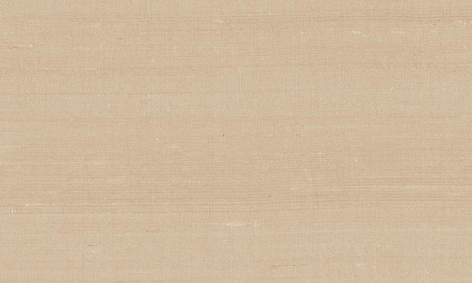 ARTE INTERNATIONAL-Paleo-Latus-50518