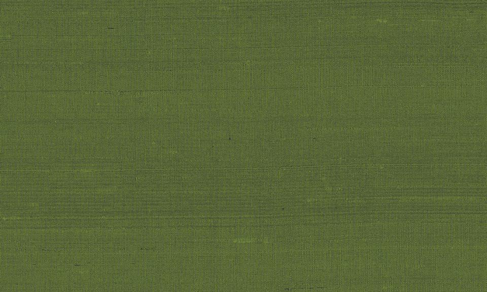 ARTE INTERNATIONAL-Paleo-Latus-50519