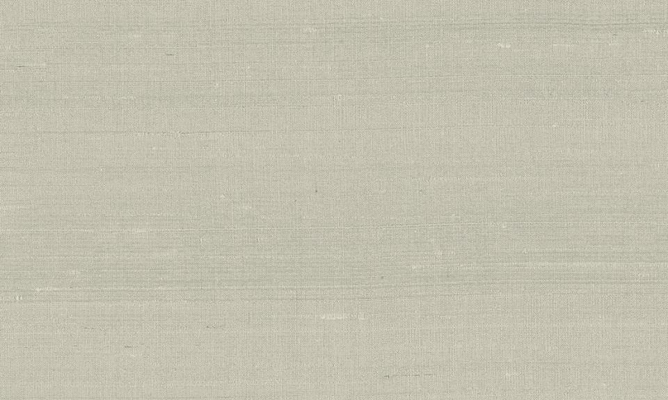 ARTE INTERNATIONAL-Paleo-Latus-50520