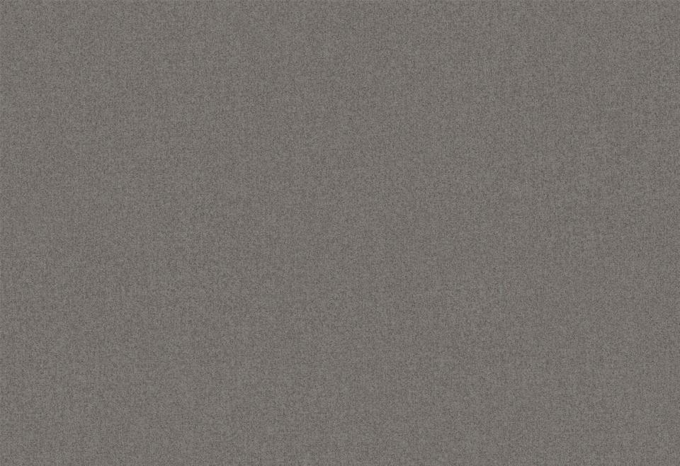 HOOKED ON WALLS-Classy Vibes-Tone-58000