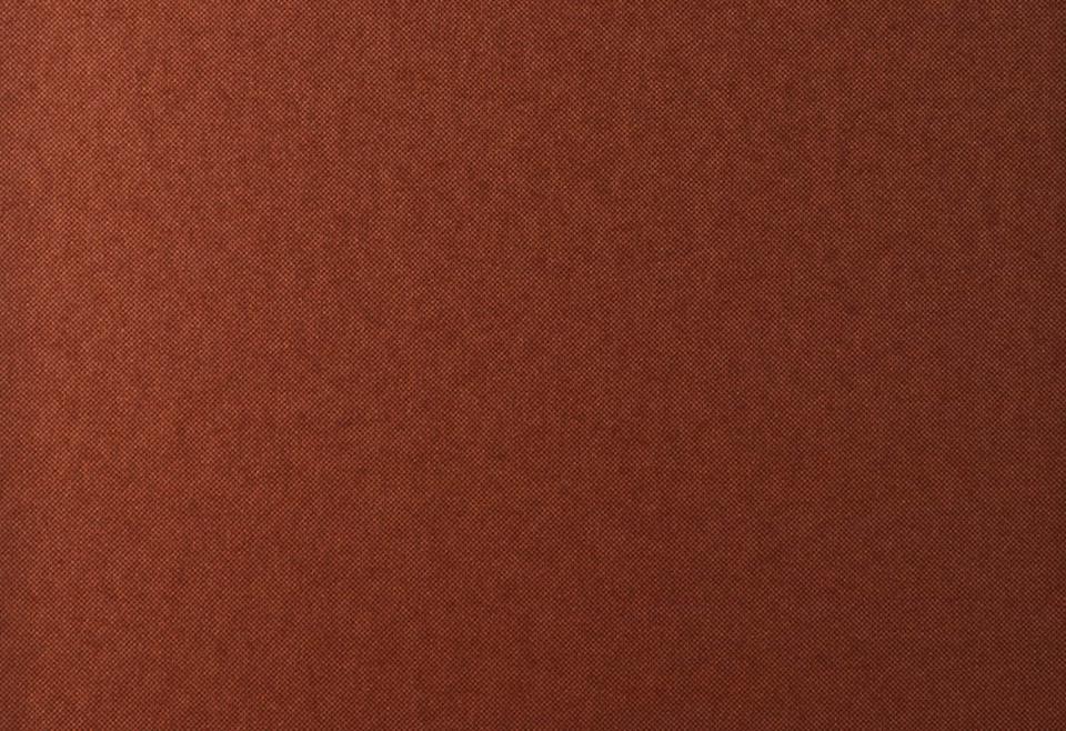 HOOKED ON WALLS-Jungle Jive-Tweed-70100