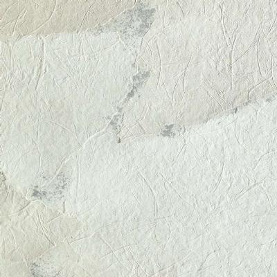 OMEXCO-COLLAGES-COL2010