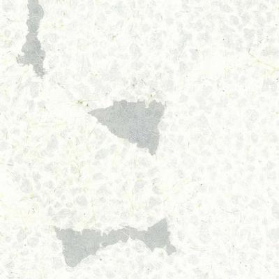 OMEXCO-COLLAGES-COL2020