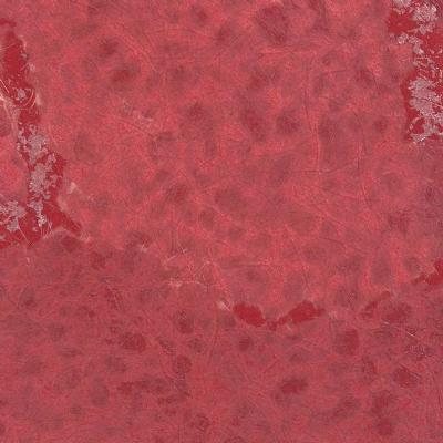 OMEXCO-COLLAGES-COL2050