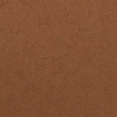 OMEXCO-COLLAGES-COL3806