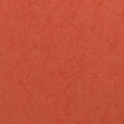 OMEXCO-COLLAGES-COL3807