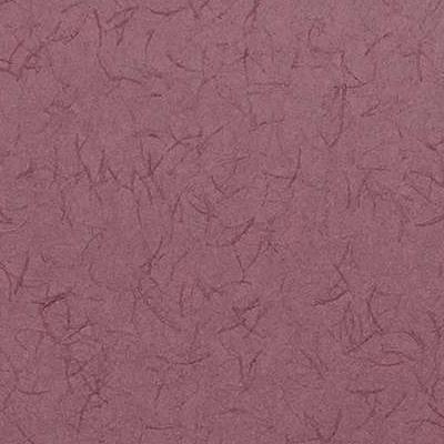 OMEXCO-COLLAGES-COL3808