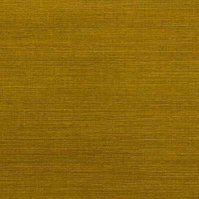 OMEXCO-JUNGLE-JUA315