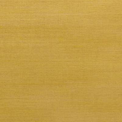 OMEXCO-JUNGLE-JUA321