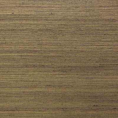 OMEXCO-JUNGLE-JUA334