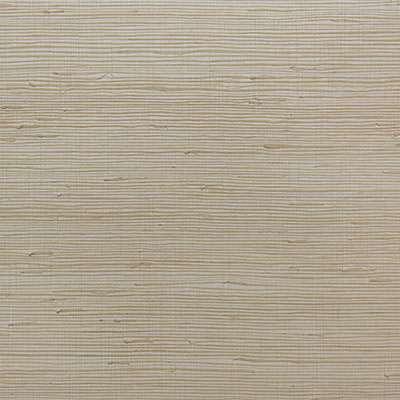 OMEXCO-JUNGLE-JUA402