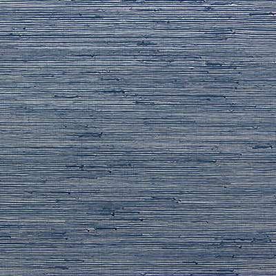 OMEXCO-JUNGLE-JUA404