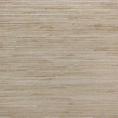 OMEXCO-JUNGLE-JUA406