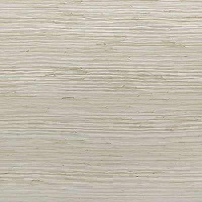 OMEXCO-JUNGLE-JUA411