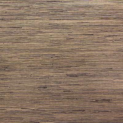 OMEXCO-JUNGLE-JUA415