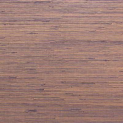 OMEXCO-JUNGLE-JUA417