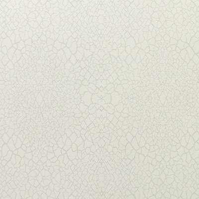 OMEXCO-NASHIRA-NAI3801