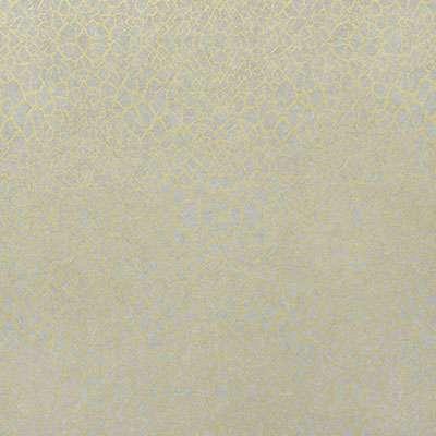 OMEXCO-NASHIRA-NAI3802