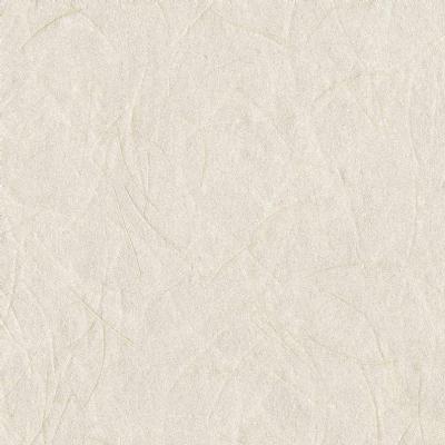 OMEXCO-SHADES OF PALE-SOP3101