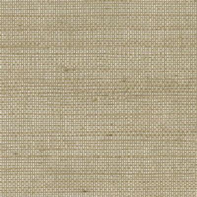 OMEXCO-SHADES OF PALE-SOP4101