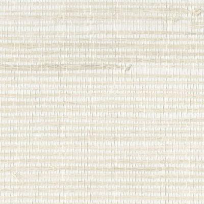 OMEXCO-SHADES OF PALE-SOP4122