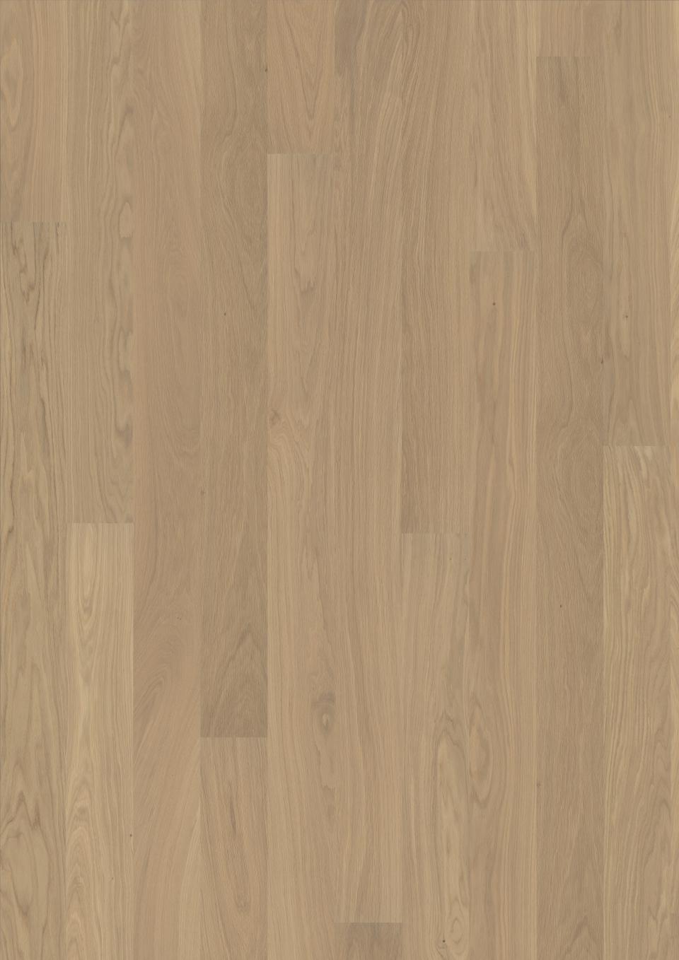 Stejar FP 138 Natur New Arctic